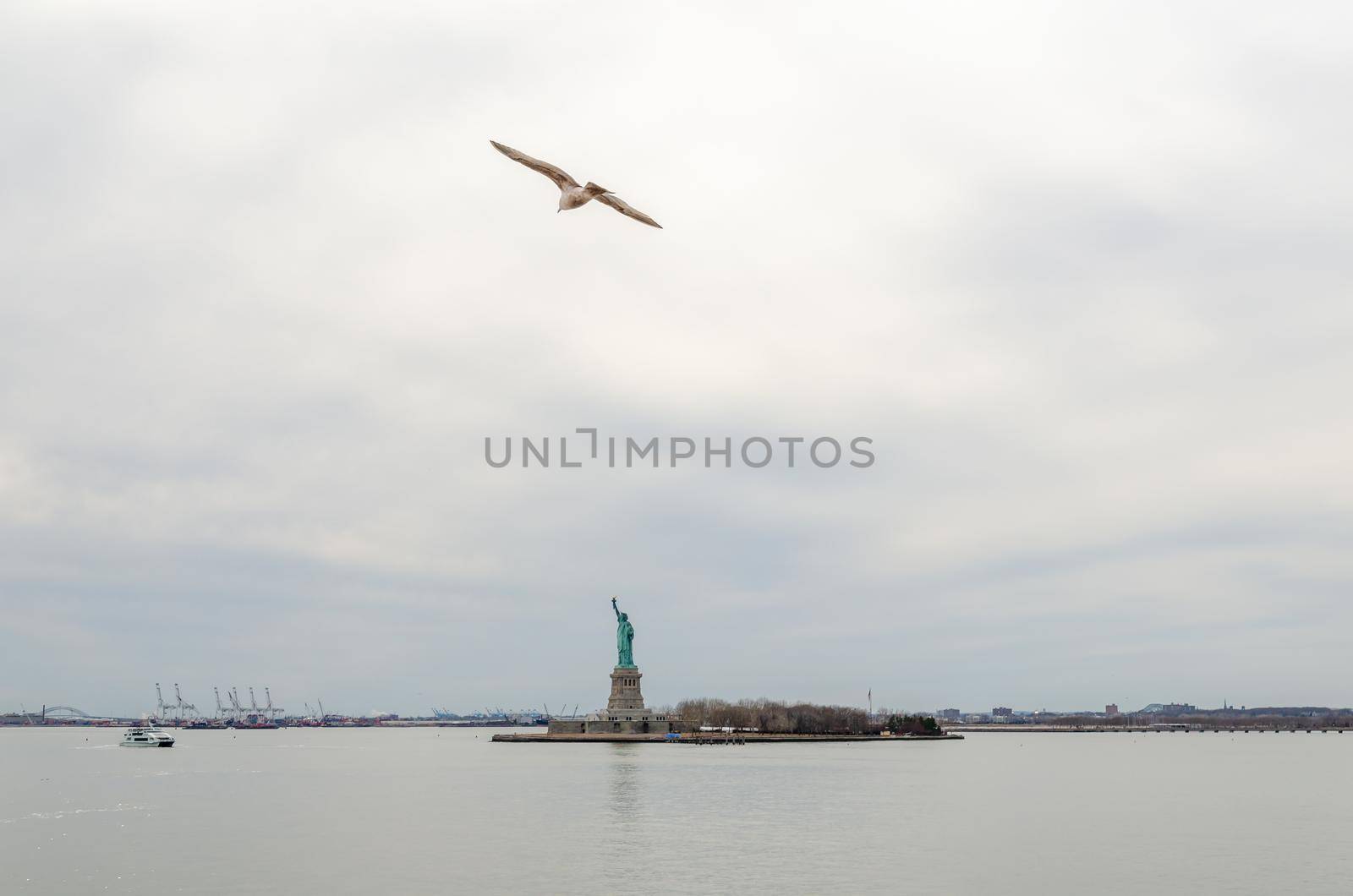 Seagull flying in front of Statue of Liberty, New York City by bildgigant