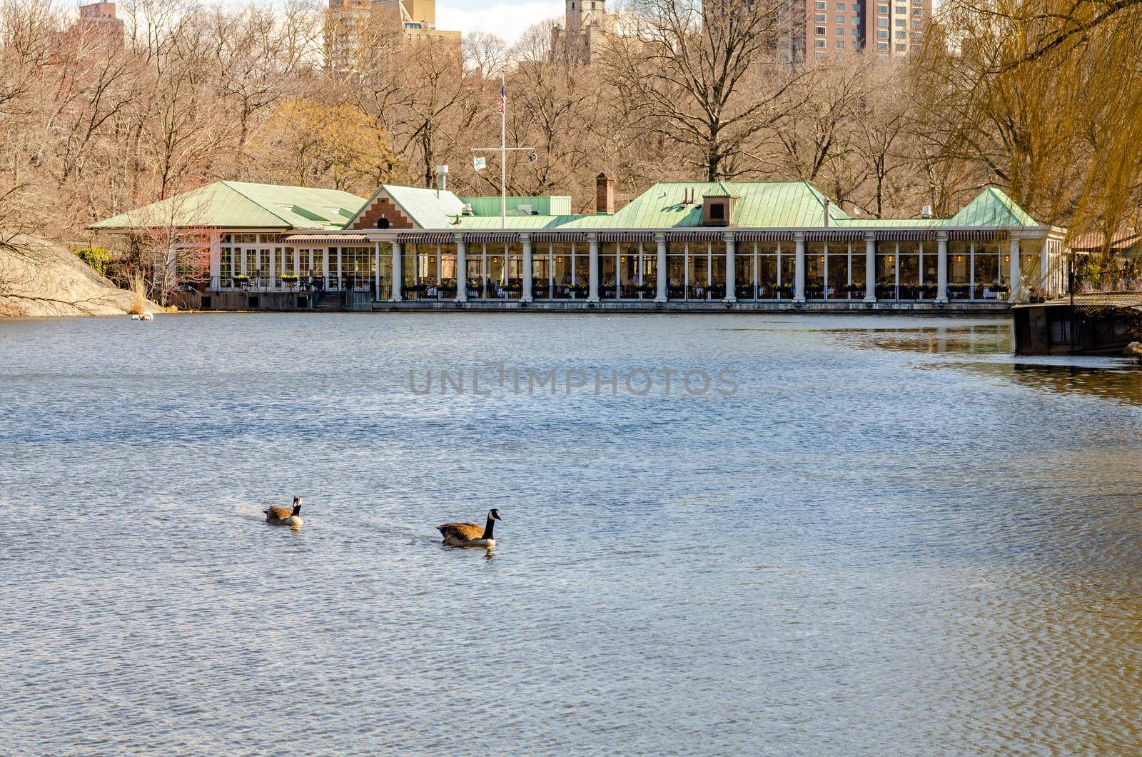 Central Park Boathouse Restaurant, New York City during in winter daylight with lake and two birds on the water in the forefront, horizontal
