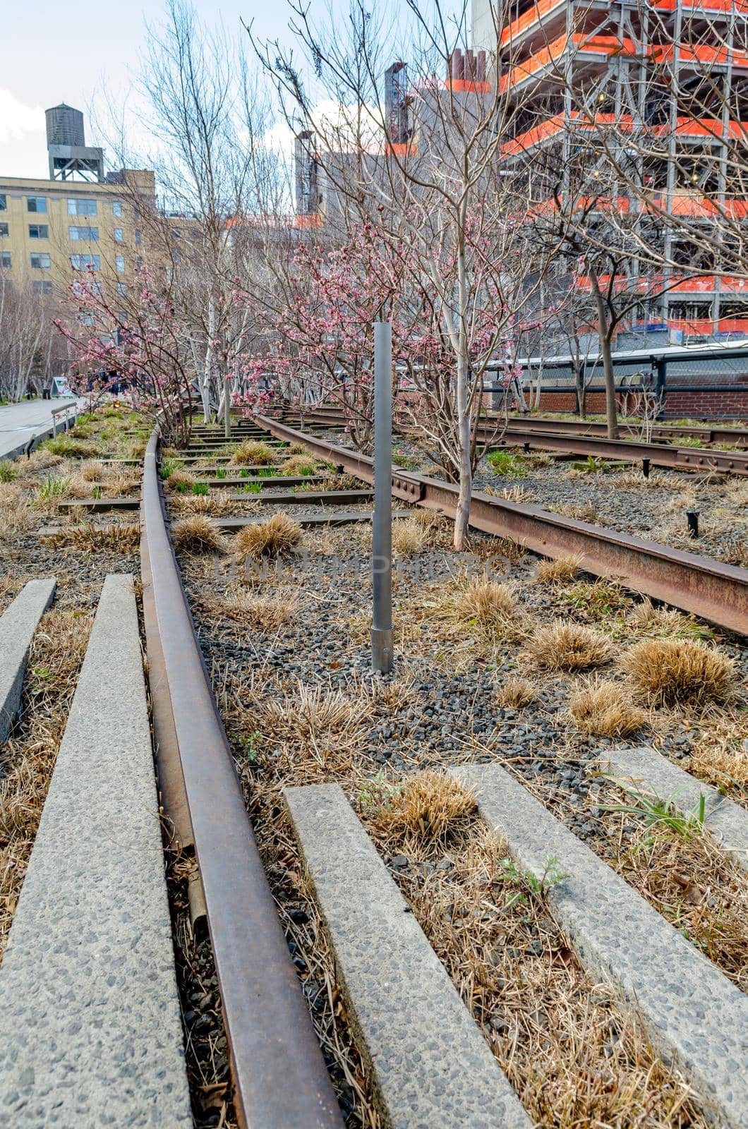 Railroad Track with trees at the High Line Rooftop Park, New York City by bildgigant