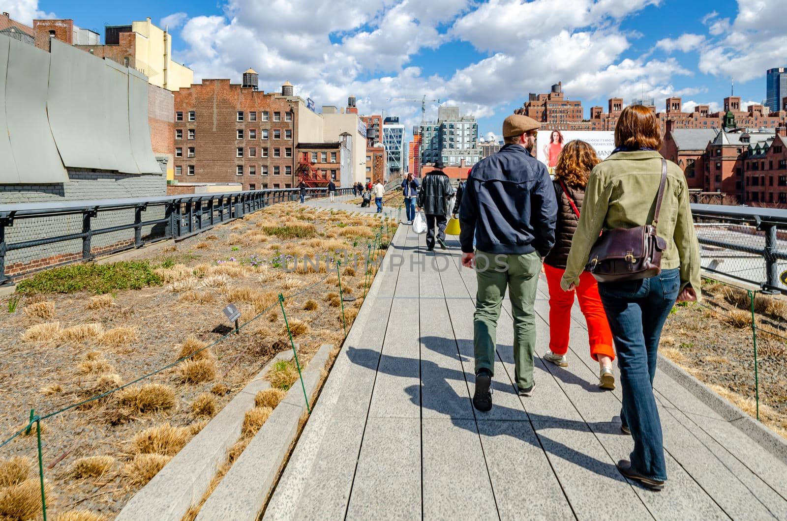 People walking, enjoying the sunny winter day at the High Line Park, New York City, way with plants next to it, rear view, horizontal