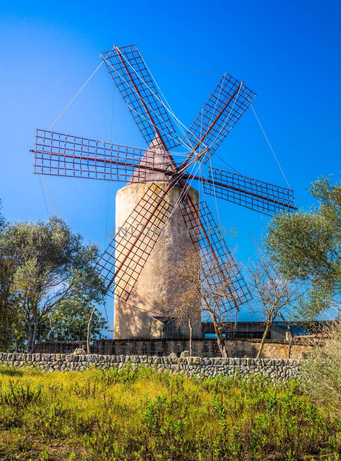 Typical wind mill, Majorca