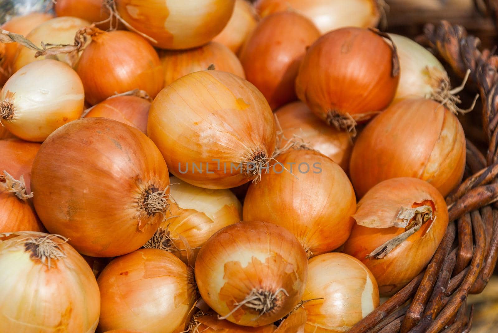 Onion Background