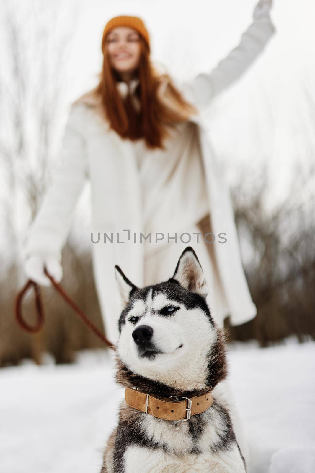 young woman with husky on the snow walk play rest winter holidays by SHOTPRIME