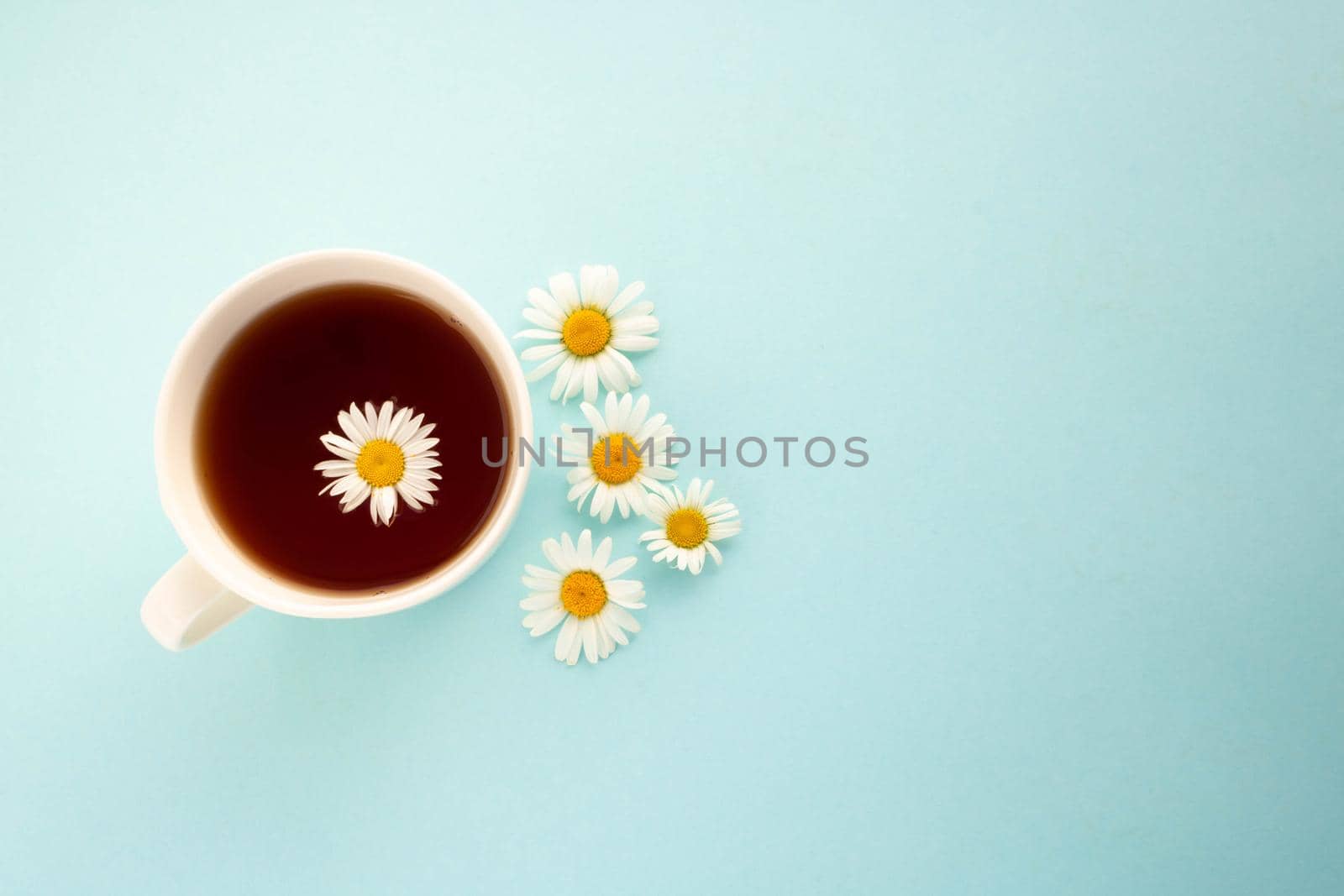 Chamomile tea. On a blue background, a white cup with tea and daisies.
