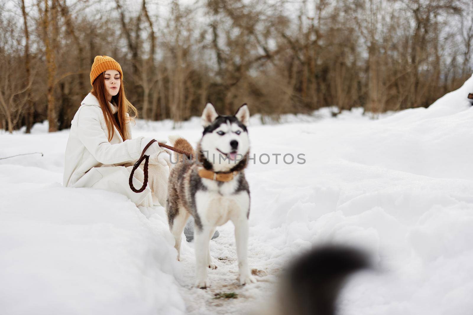 portrait of a woman outdoors in a field in winter walking with a dog Lifestyle. High quality photo
