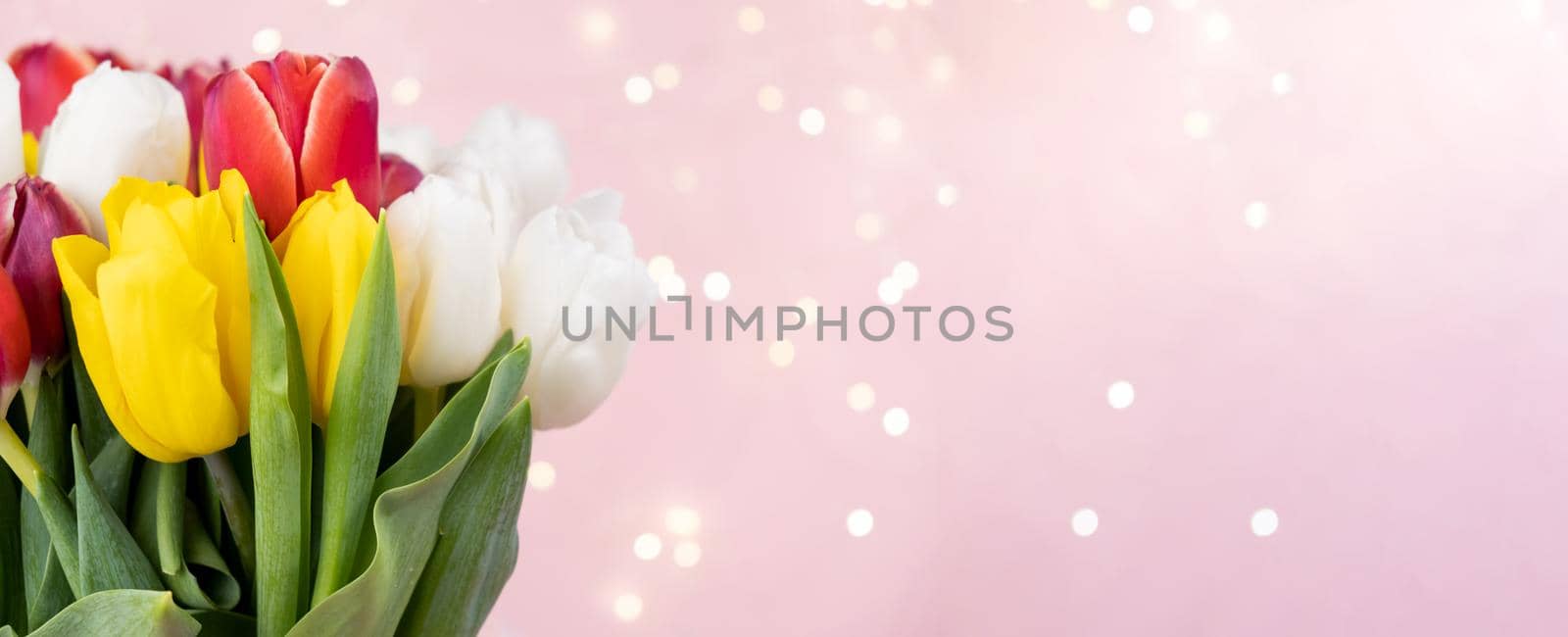 Beautiful delicate bouquet of tulip flowers on pink background header. Panoramic web banner with copy space for design, bokeh. Spring holidays concept, March 8, Easter, Valentines Day by chelmicky