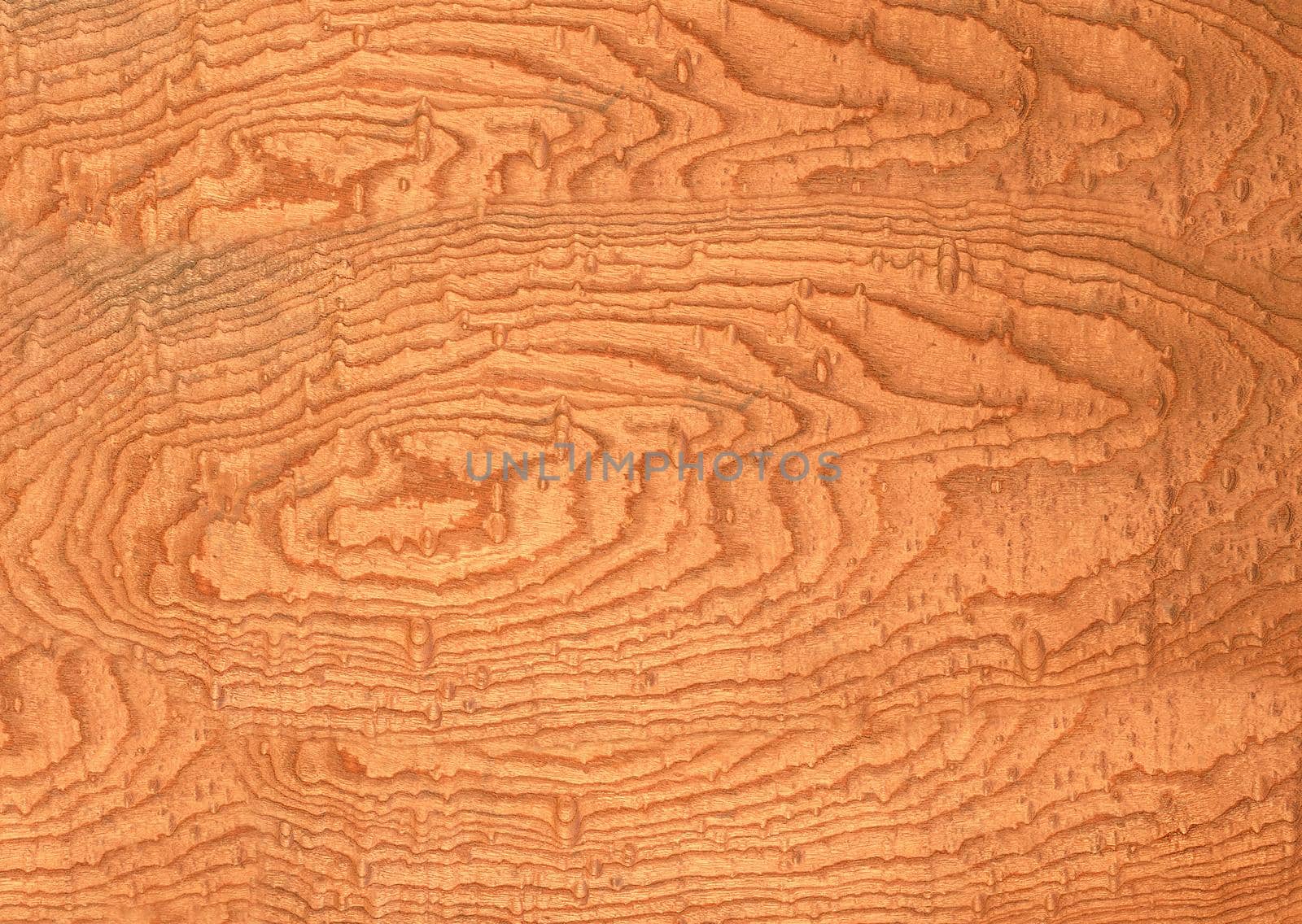 Natural wavy pattern on the surface of the tree close-up