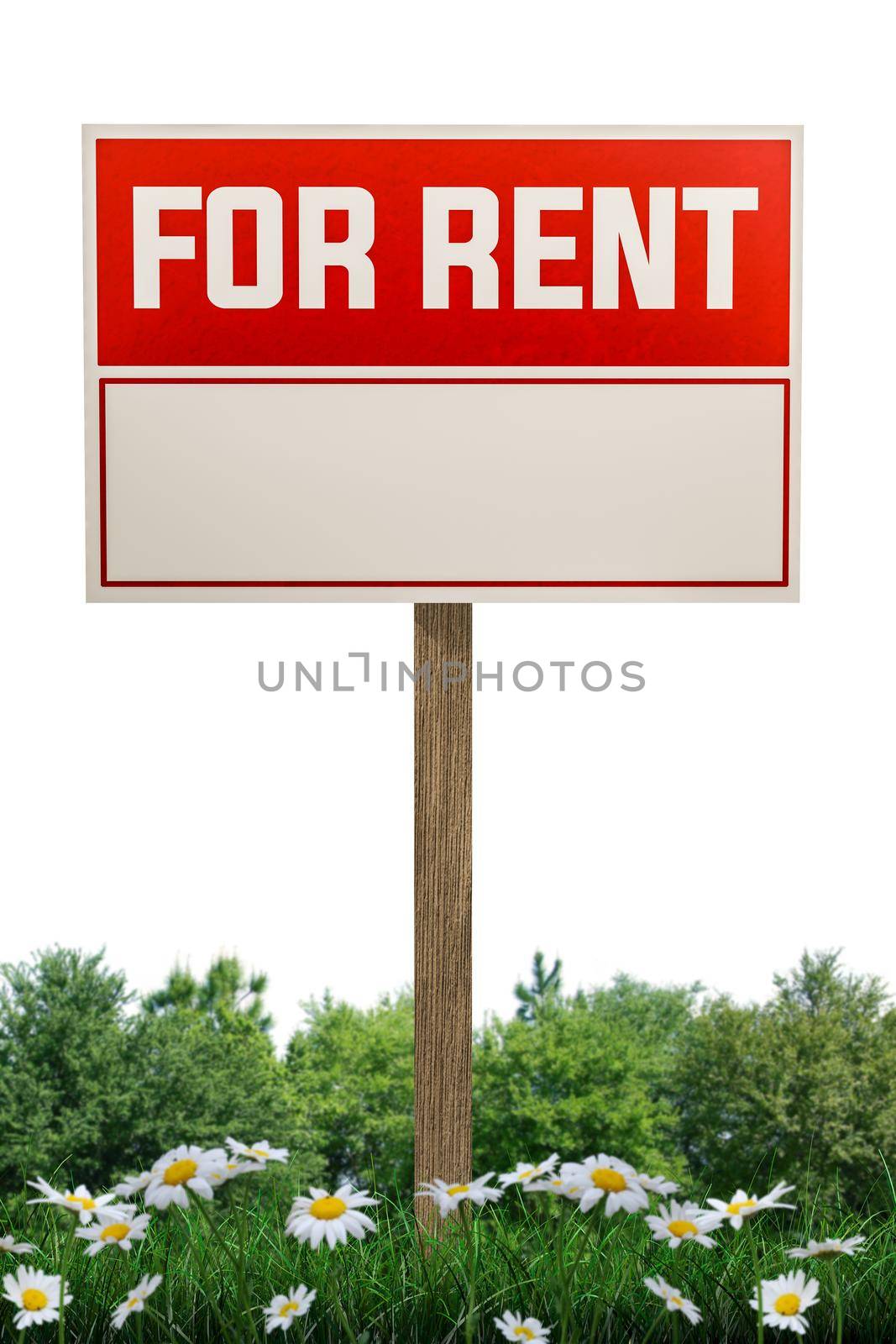 for rent sign isolated on white background 3d illustration