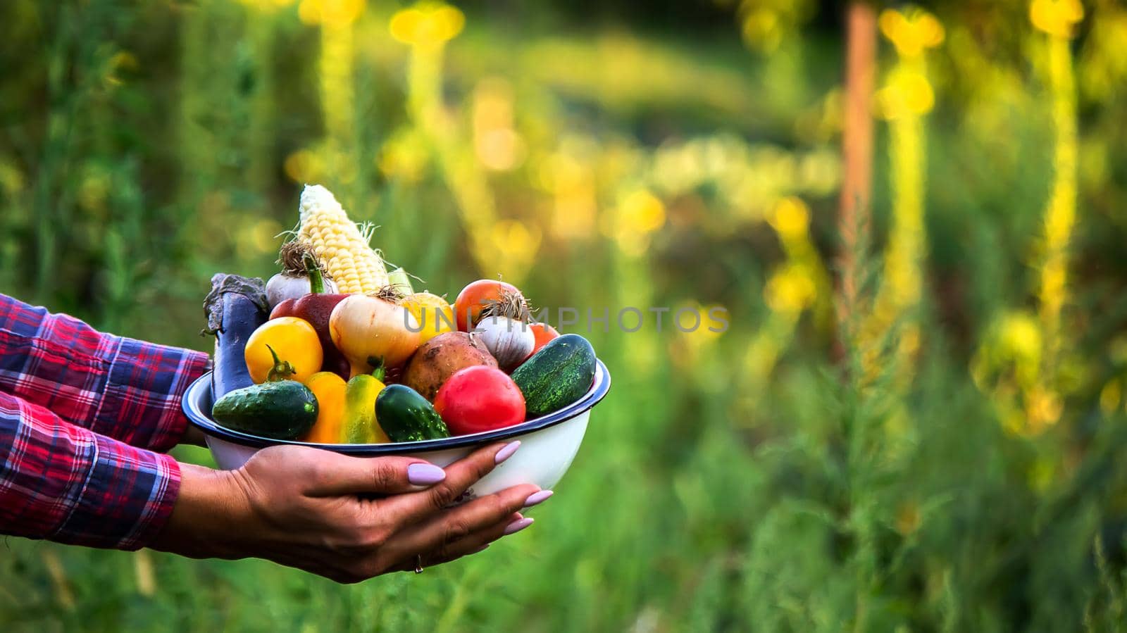 woman in the garden with vegetables in her hands. selective focus. nature.