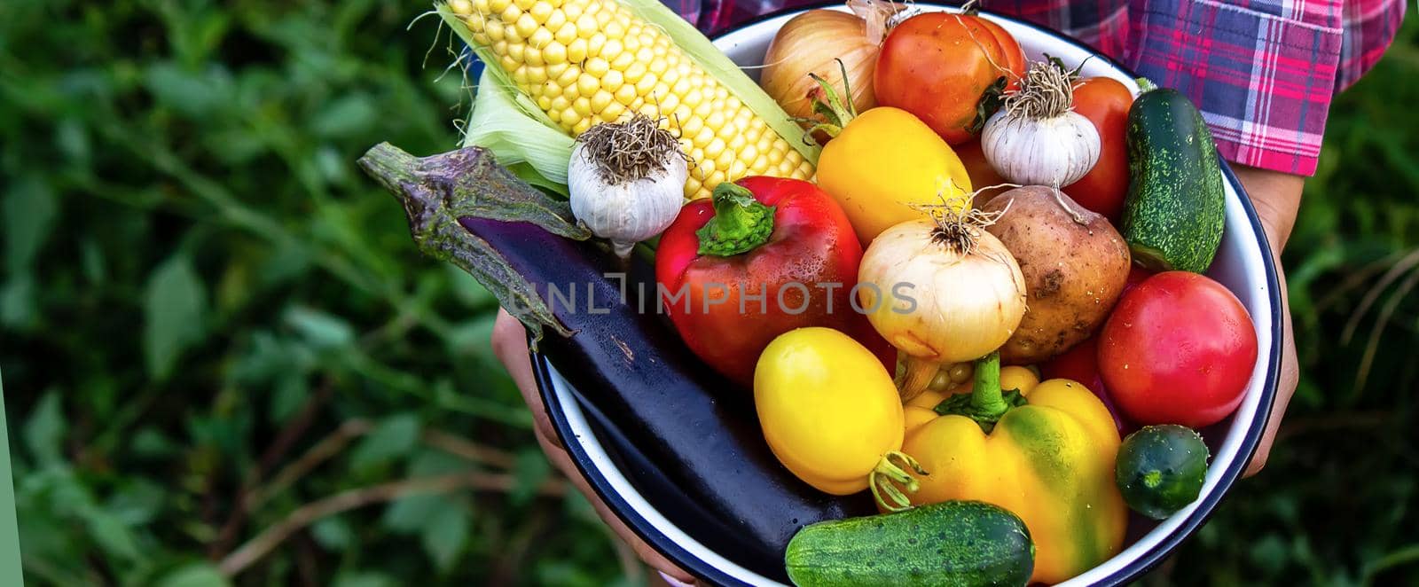 woman in the garden with vegetables in her hands. selective focus. nature.