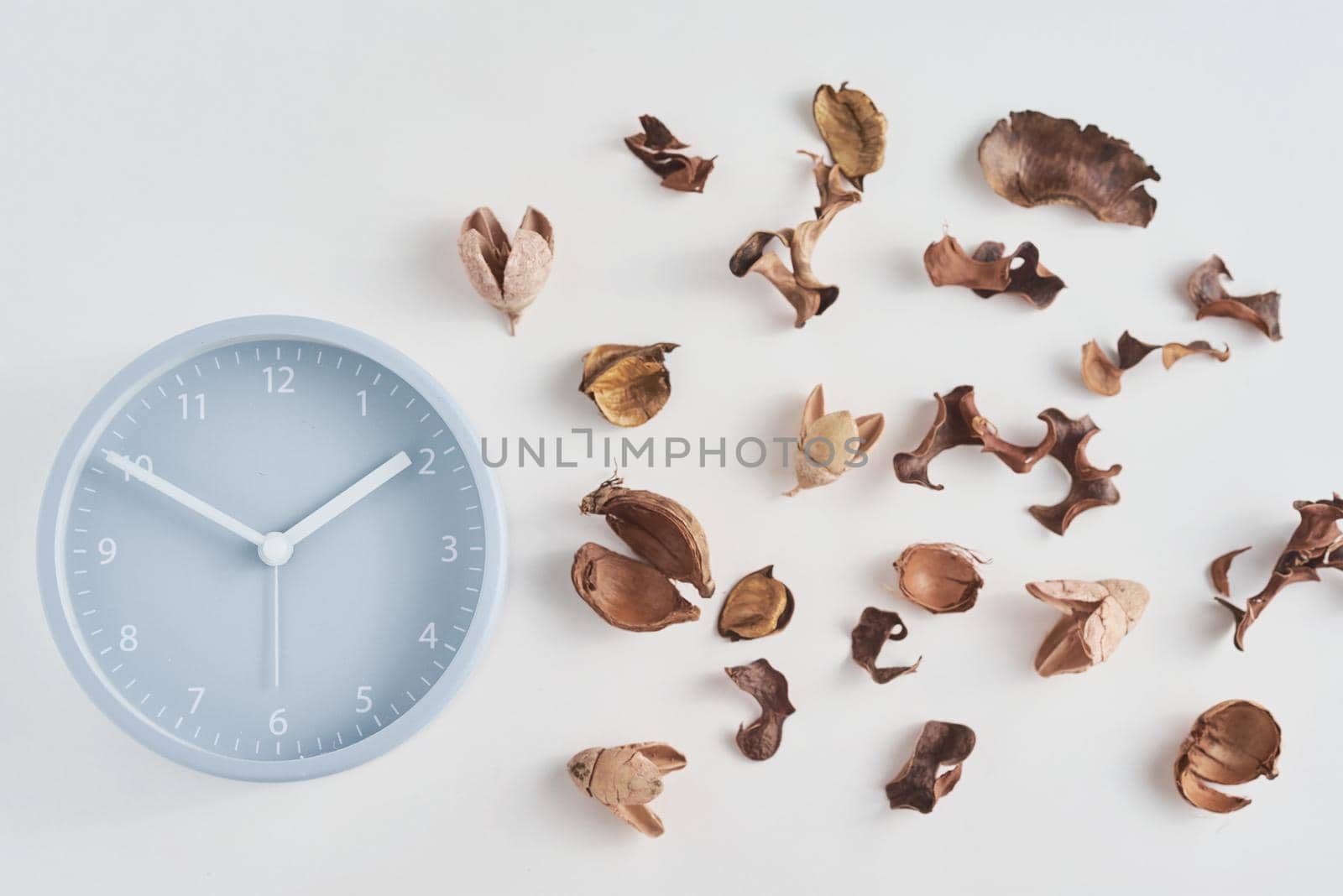 Alarm clock with a dried petals on white background, top view. Minimal flat lay style by Lazy_Bear