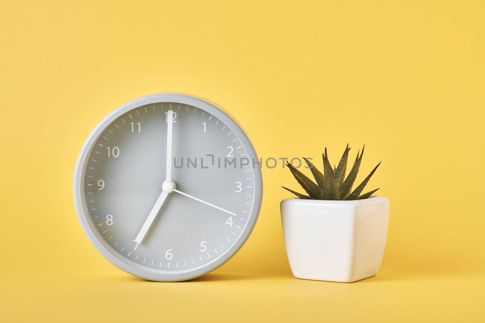 Alarm clock and plant in pot on yellow background, closeup