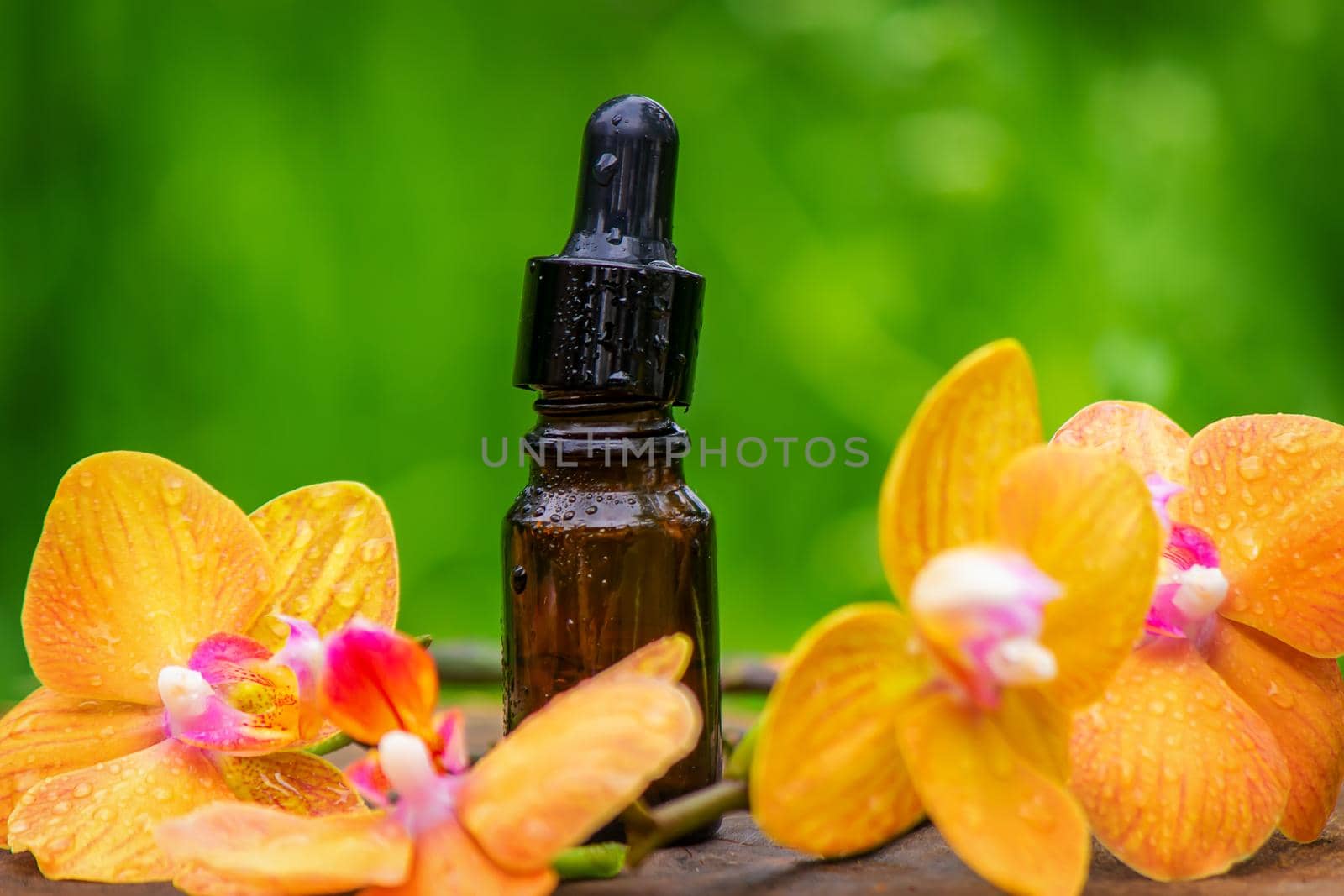 bottles with essential oils and orchid in Minsk on a wooden background. Natural perfume. Selective focus