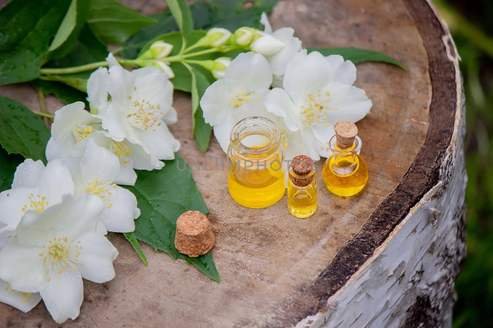 Essential oil and jasmine flowers on a wooden background. Cosmetic procedures. Selective focus