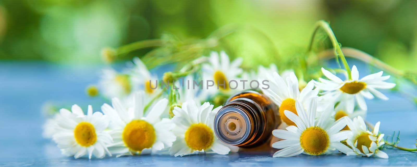 Essential oil extract of medicinal chamomile. Selective focus. Nature.