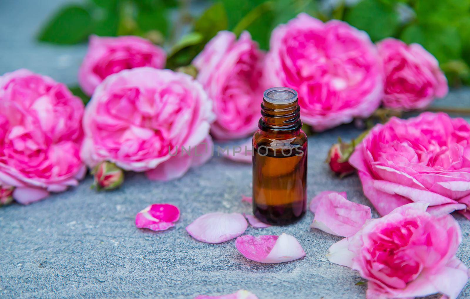 Essential oil extract of tea rose. Selective focus. nature.