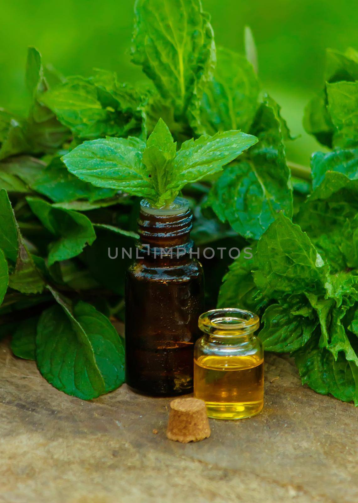 bottle of essential oil Peppermint with fresh mint leaves, herbal scent in a dark glass jar. On the stump. Aromatherapy concept. Selective focus