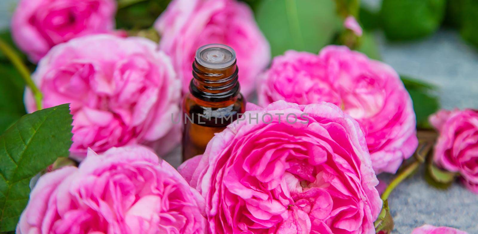 Essential oil extract of tea rose. Selective focus. nature.