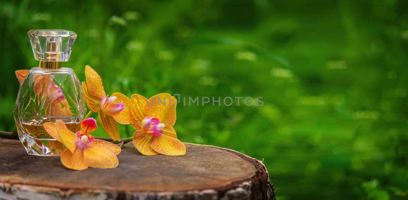 bottles with essential oils and orchid in Minsk on a wooden background. Natural perfume. Selective focus