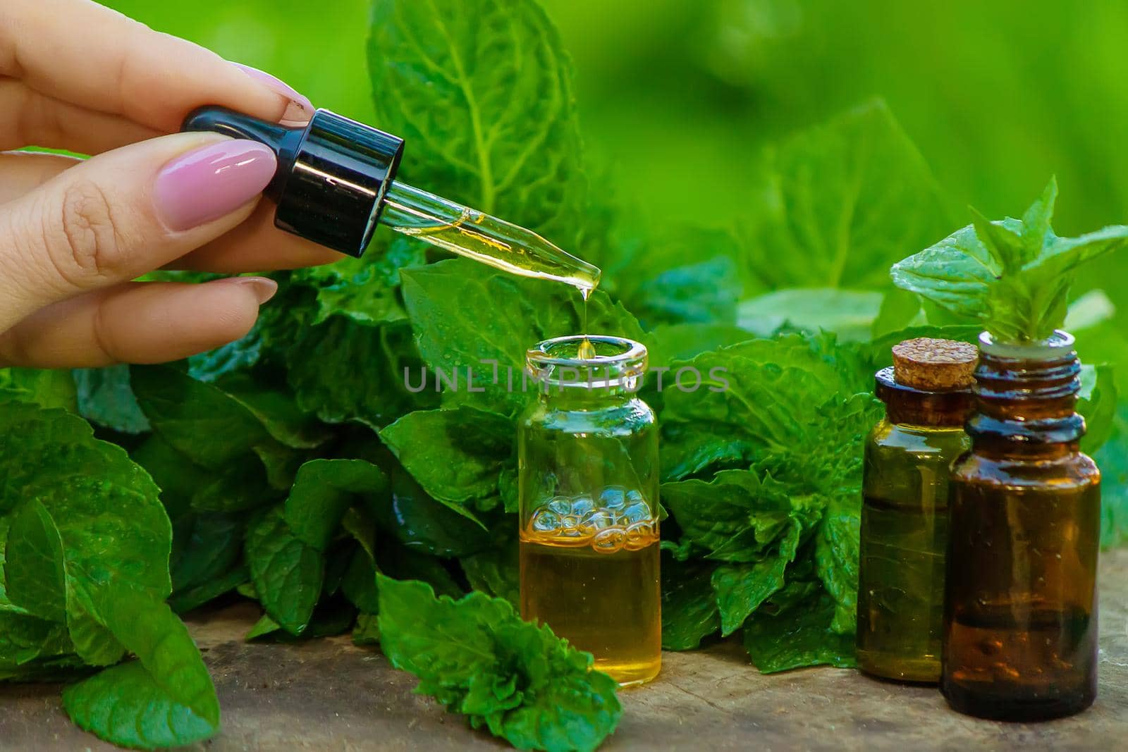 Amber bottle with essential oil Peppermint with fresh mint leaves, herbal scent in a dark glass jar. Aromatherapy concept. Selective focus