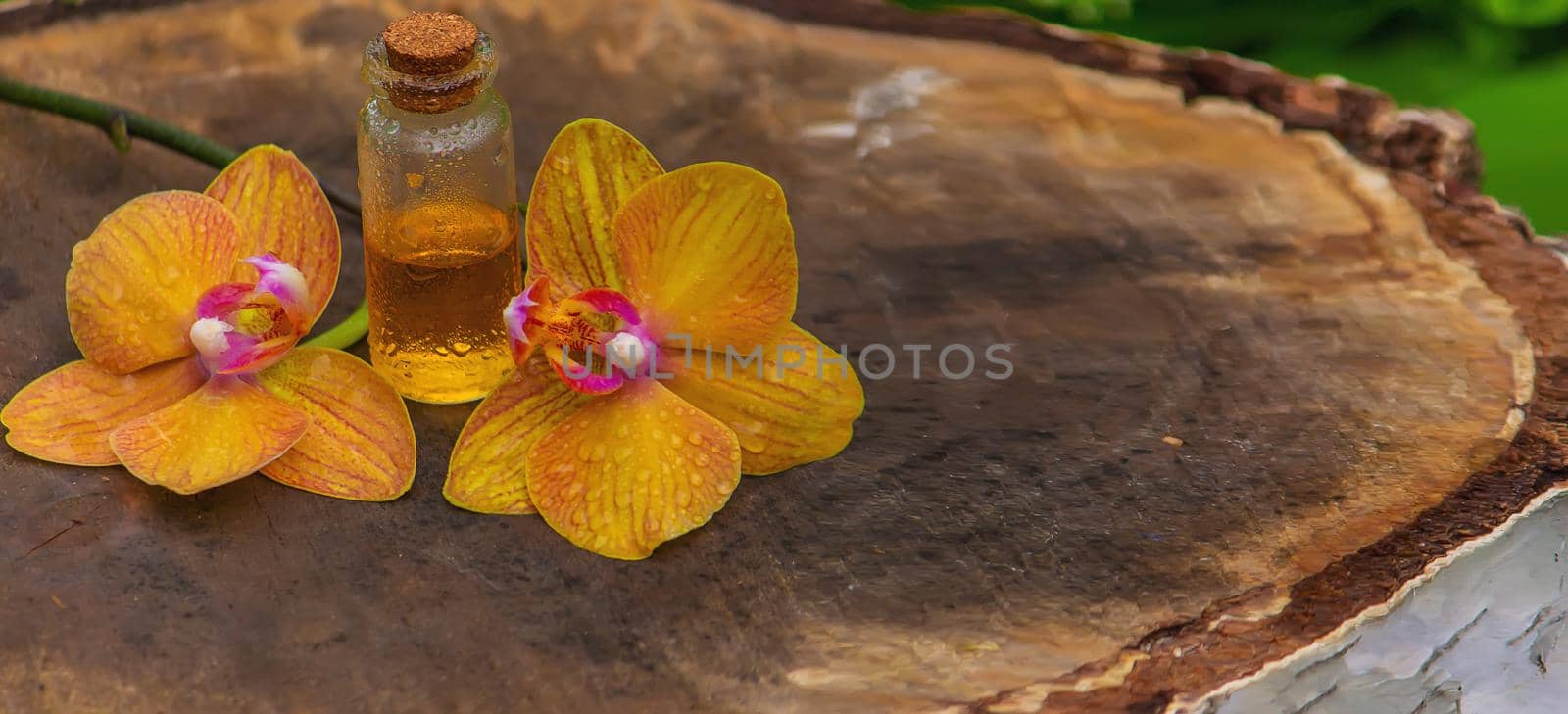 bottles with essential oils and orchid in Minsk on a wooden background. Natural perfume. Selective focus