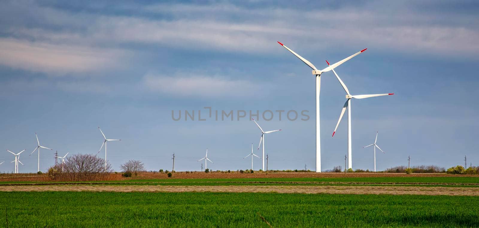 Panoramic view of a wind turbine farm the blue day sky by EdVal