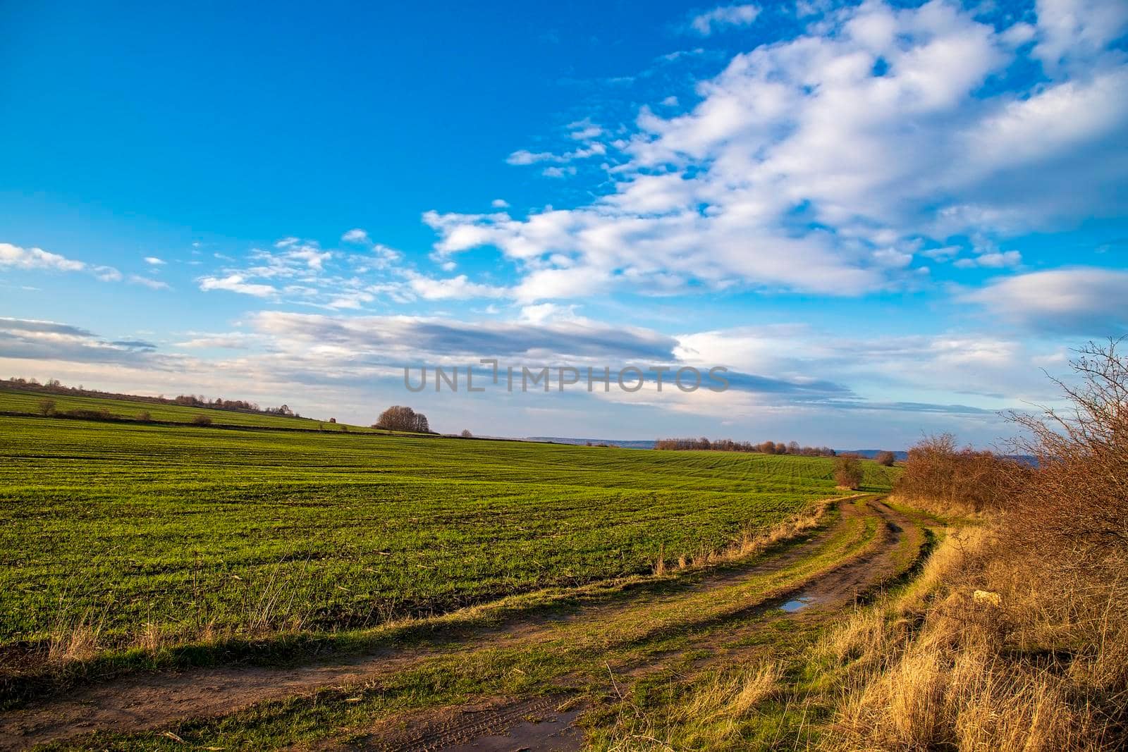 The rural landscape of road near fields and beauty clouds by EdVal