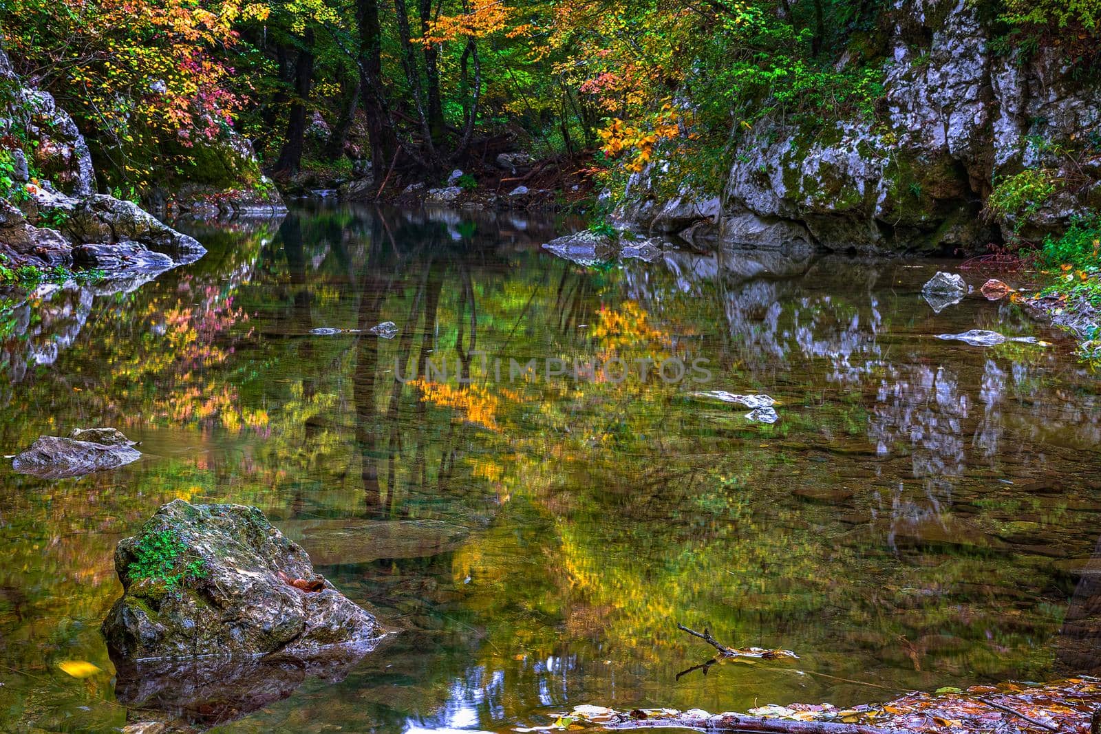 calm lake with reflection and colorful leaves during autumn. by EdVal