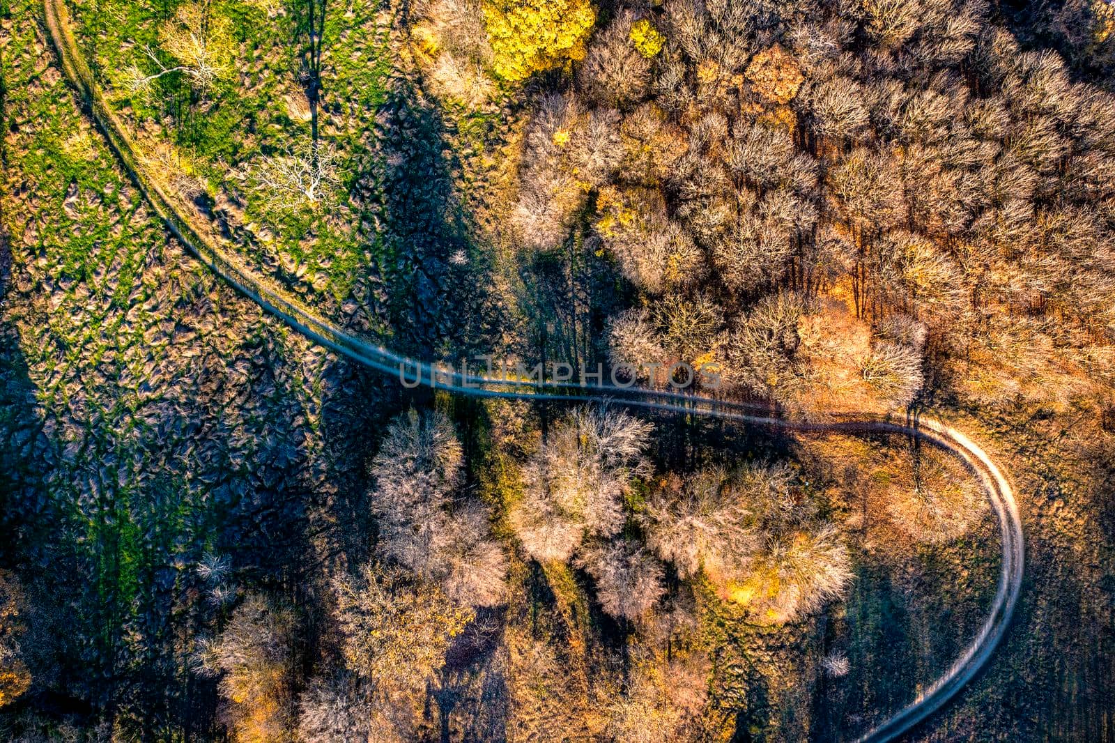 aerial top view from drone of park autumn landscape with trees, and country road by EdVal