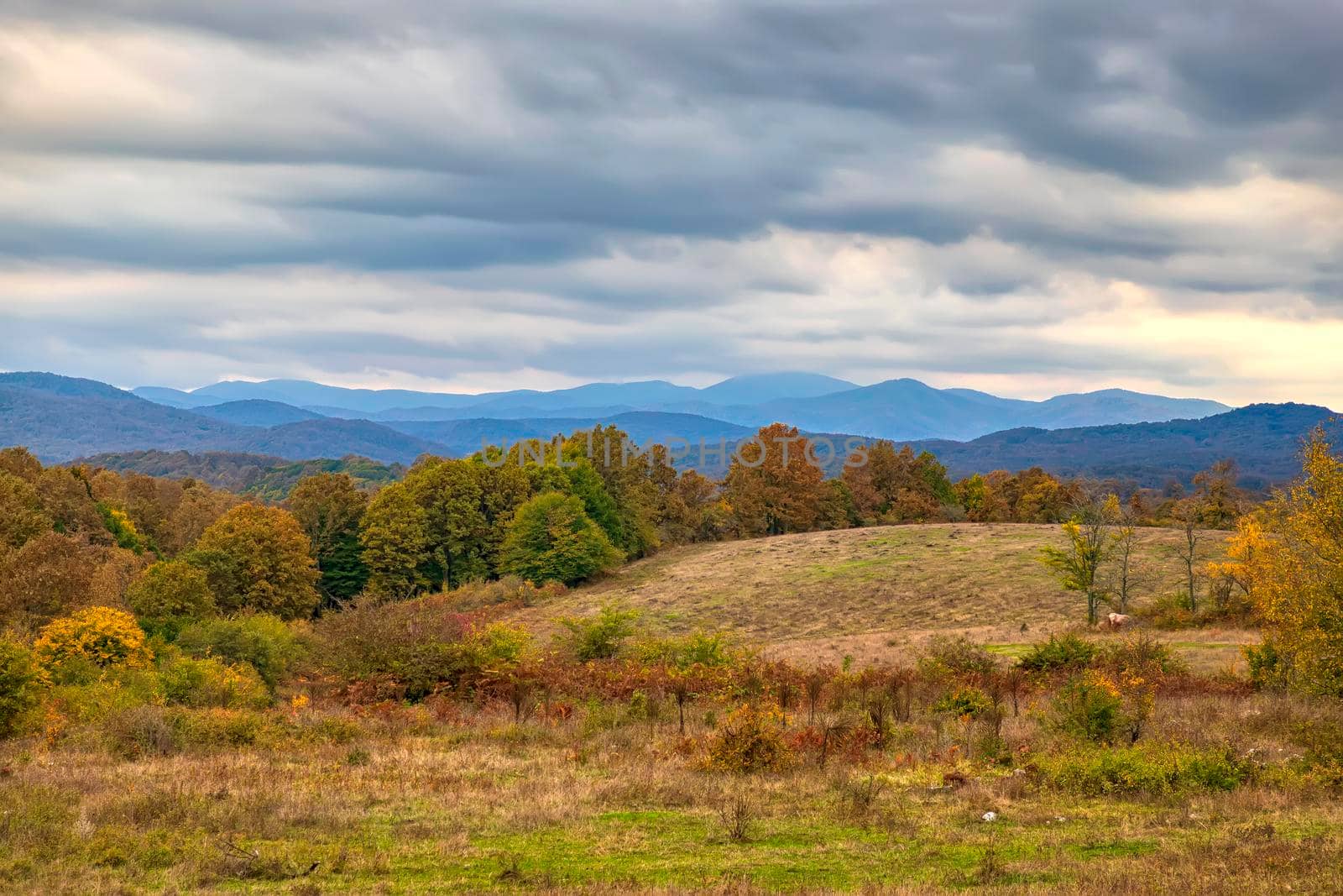 Beauty vast landscape of autumn fields and meadows  by EdVal