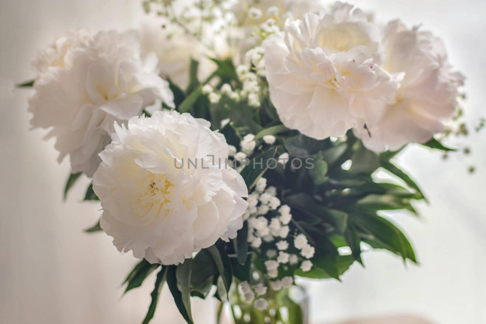 White peonies flowers in a vase on white background