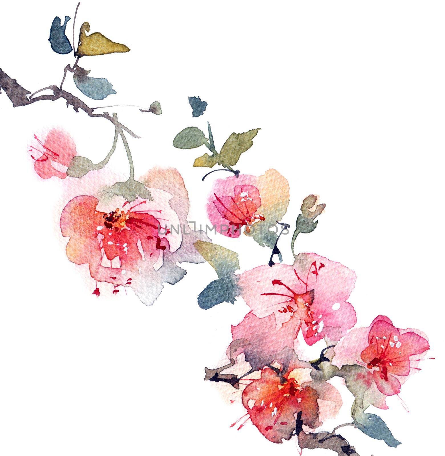 Blossom tree branch by Olatarakanova
