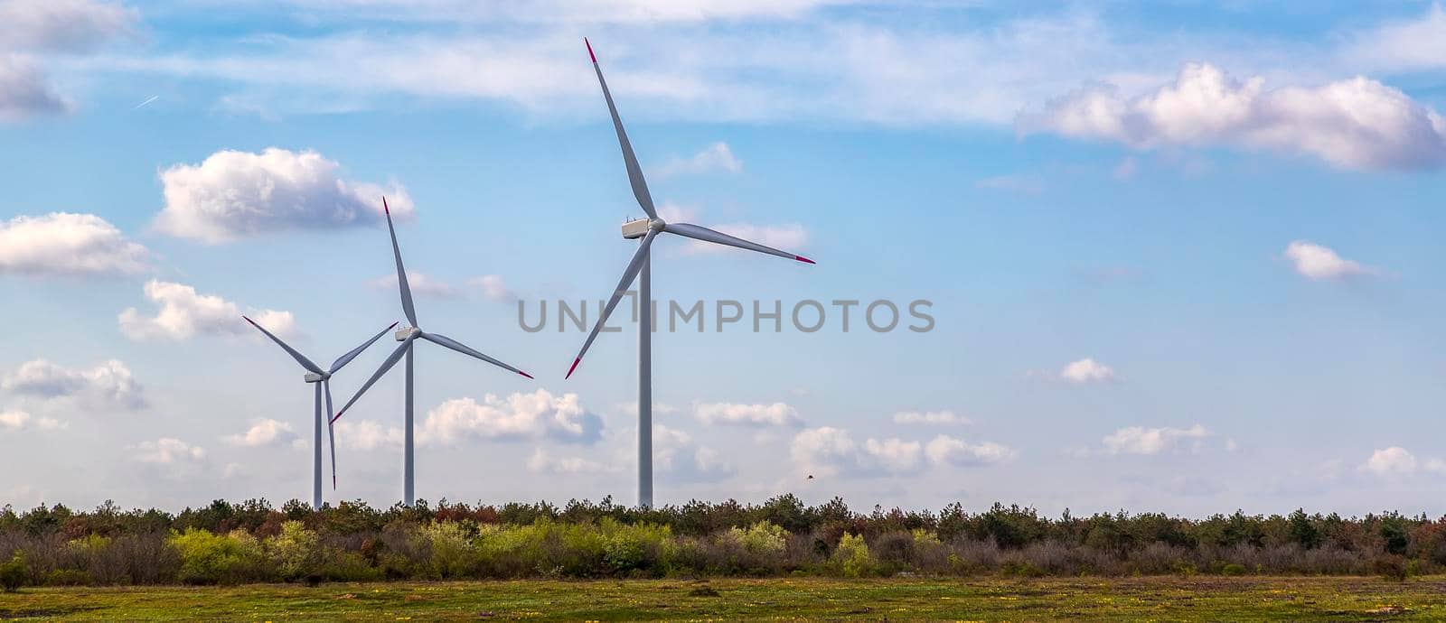 Panoramic view of a wind turbine farm the blue day sky