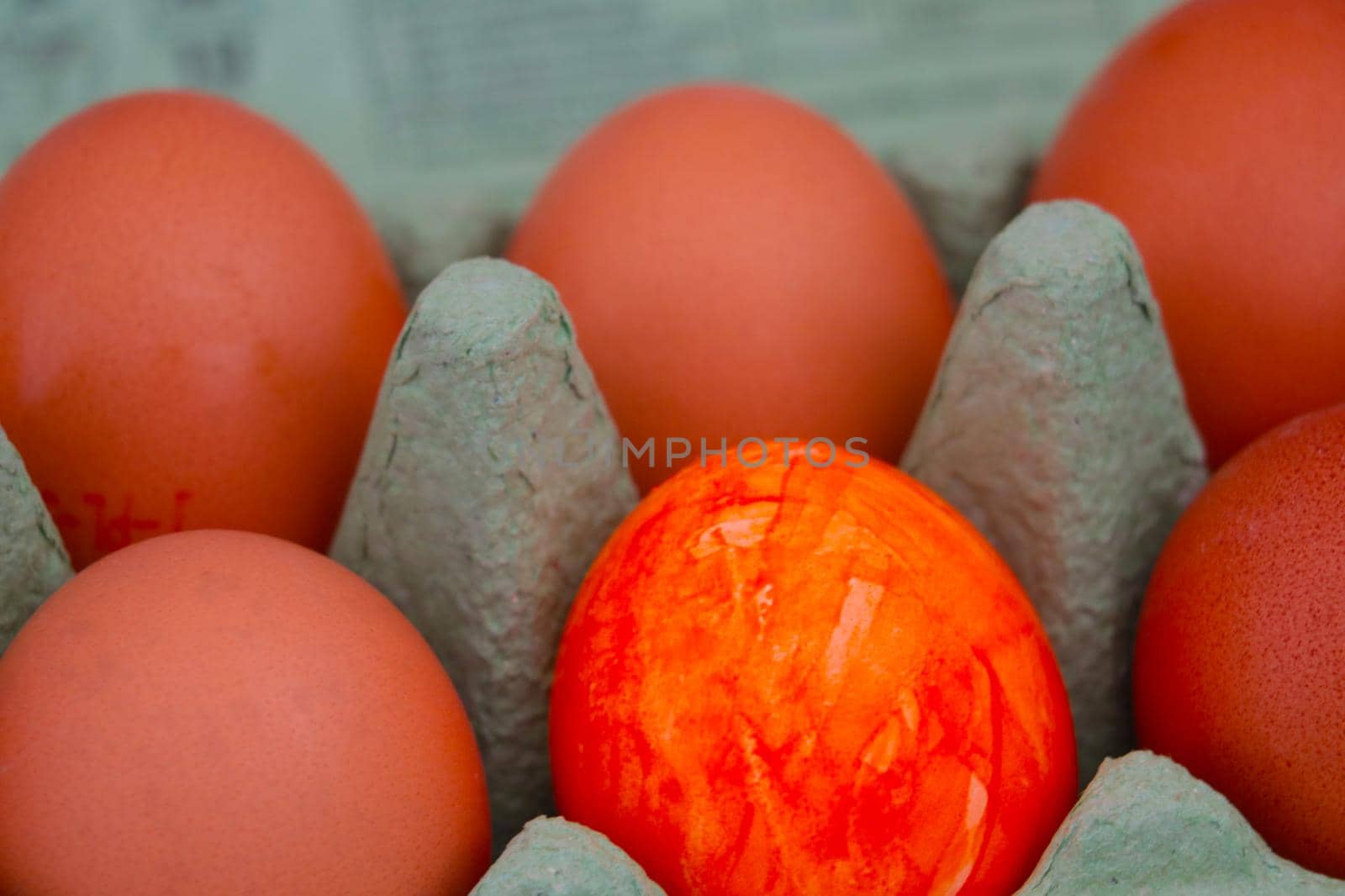 In the cardboard package yellow eggs. One egg is a different color. by kip02kas