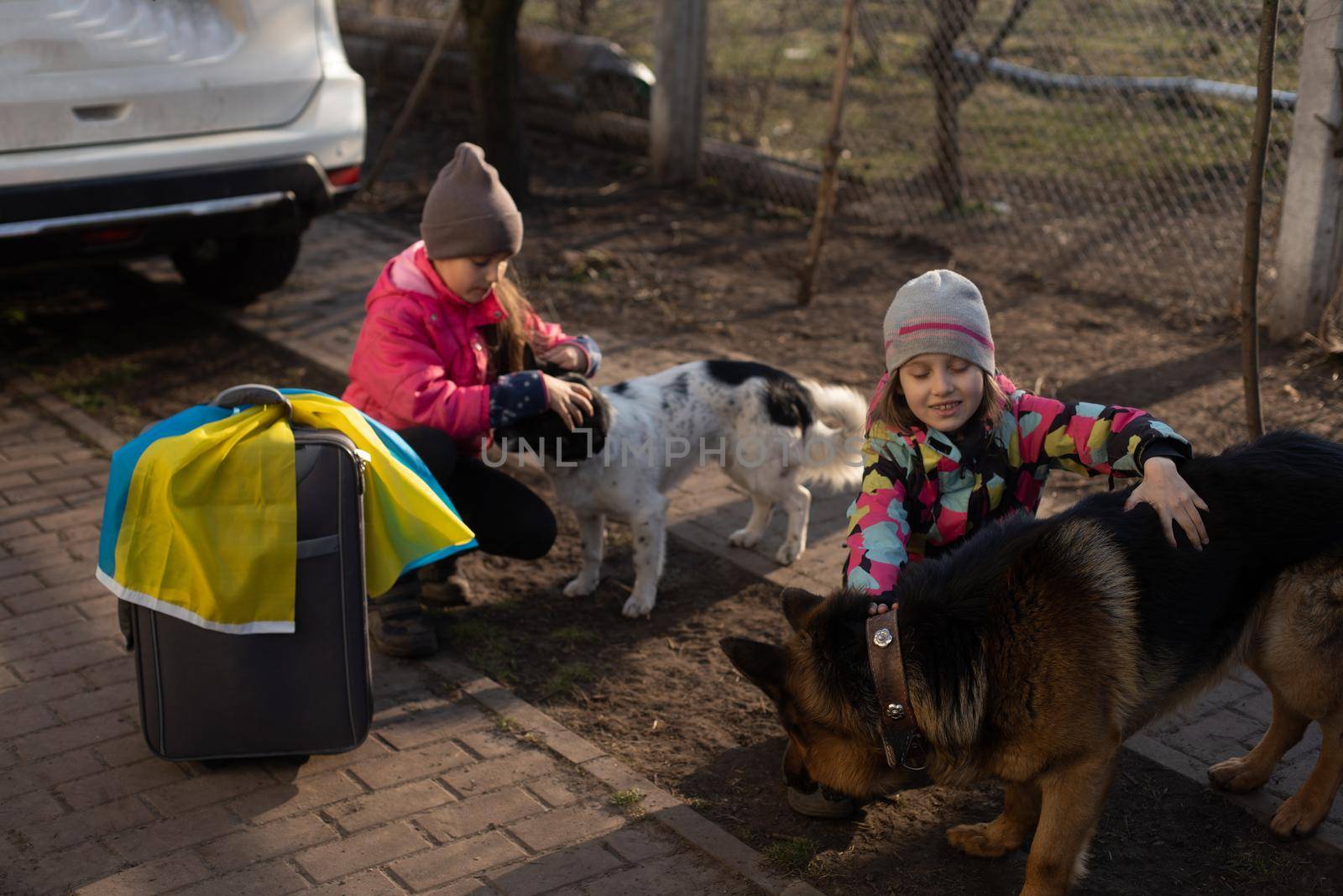 two little girls with the flag of ukraine, suitcase, dogs. Ukraine war migration. Collection of things in a suitcase. Flag of Ukraine, help. Krizin, military conflict