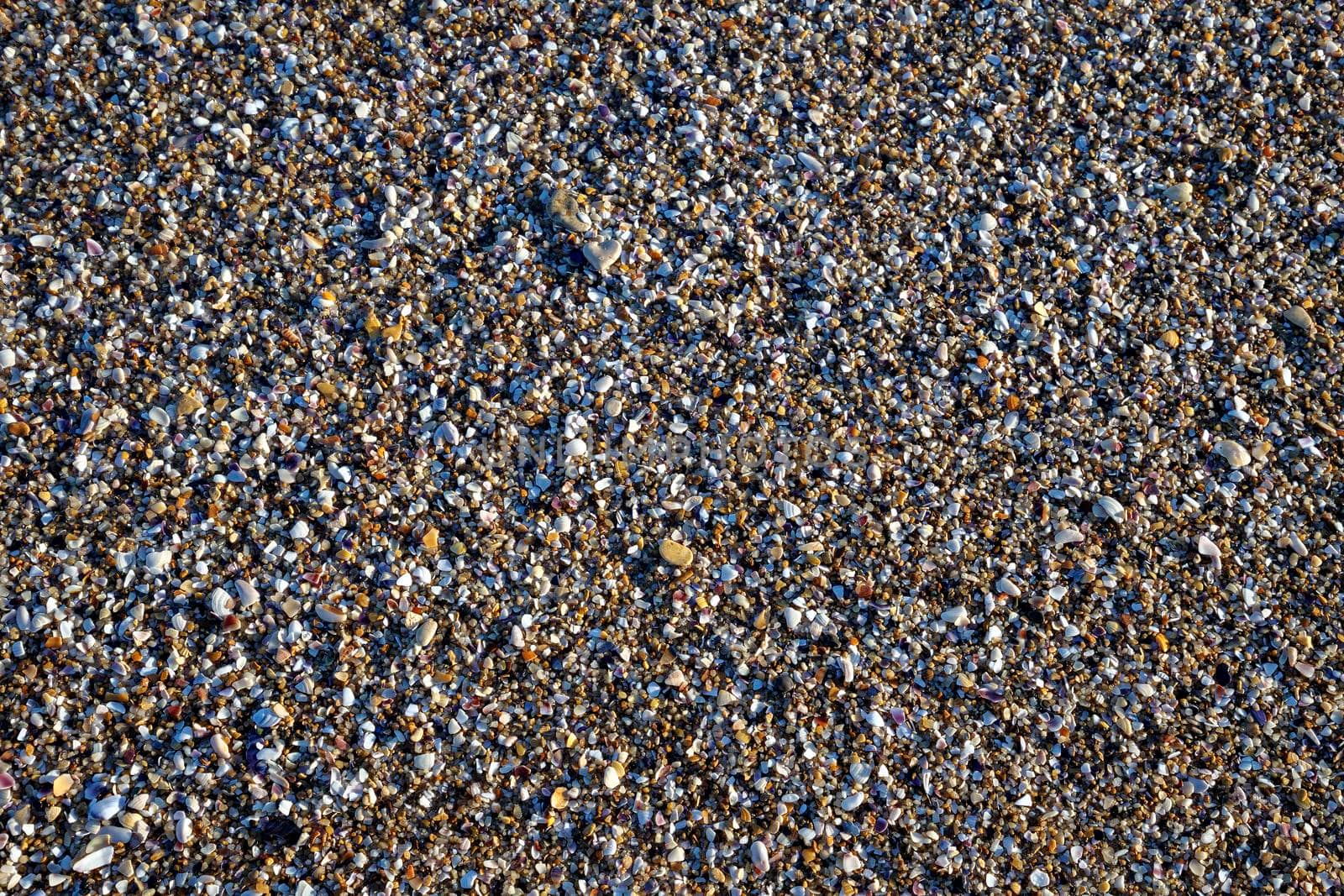 Natural sand surface with shell fragments and small pebbles for use as a background