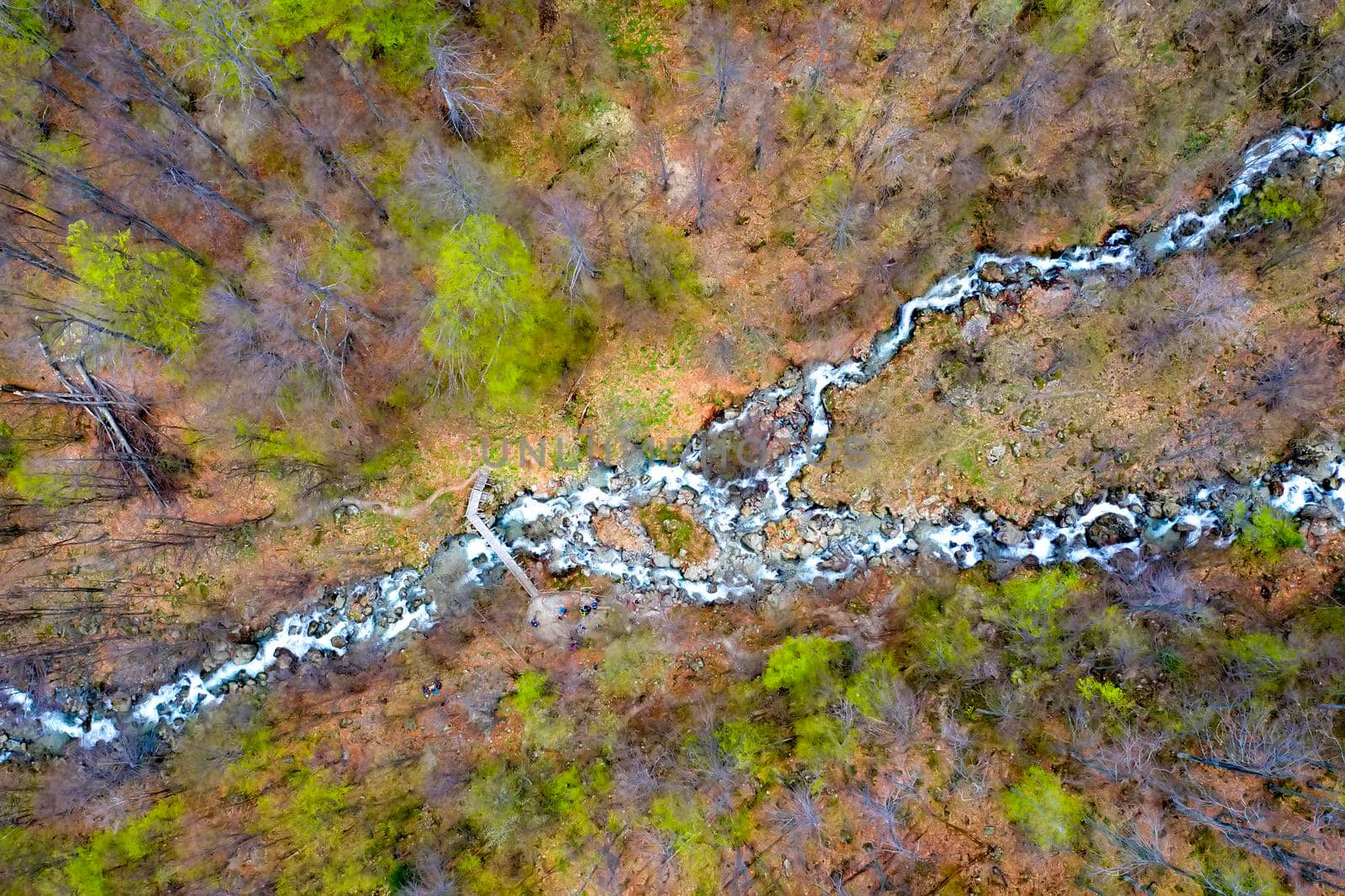 Top view from drone of two rapids of a mountain river. Nature background by EdVal