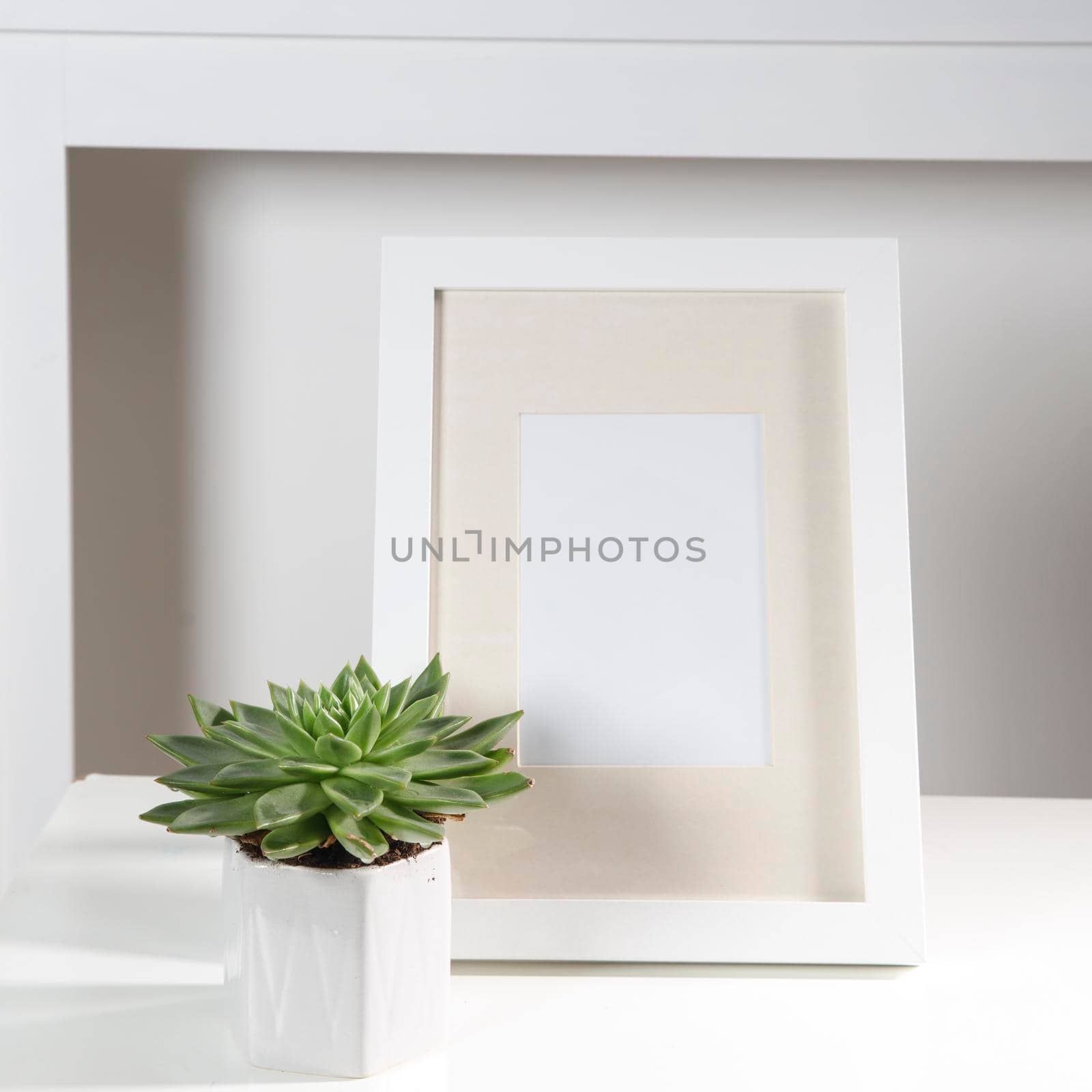Layout for the office. echeveria in a geometric pot and photo frame. Place for text by elenarostunova