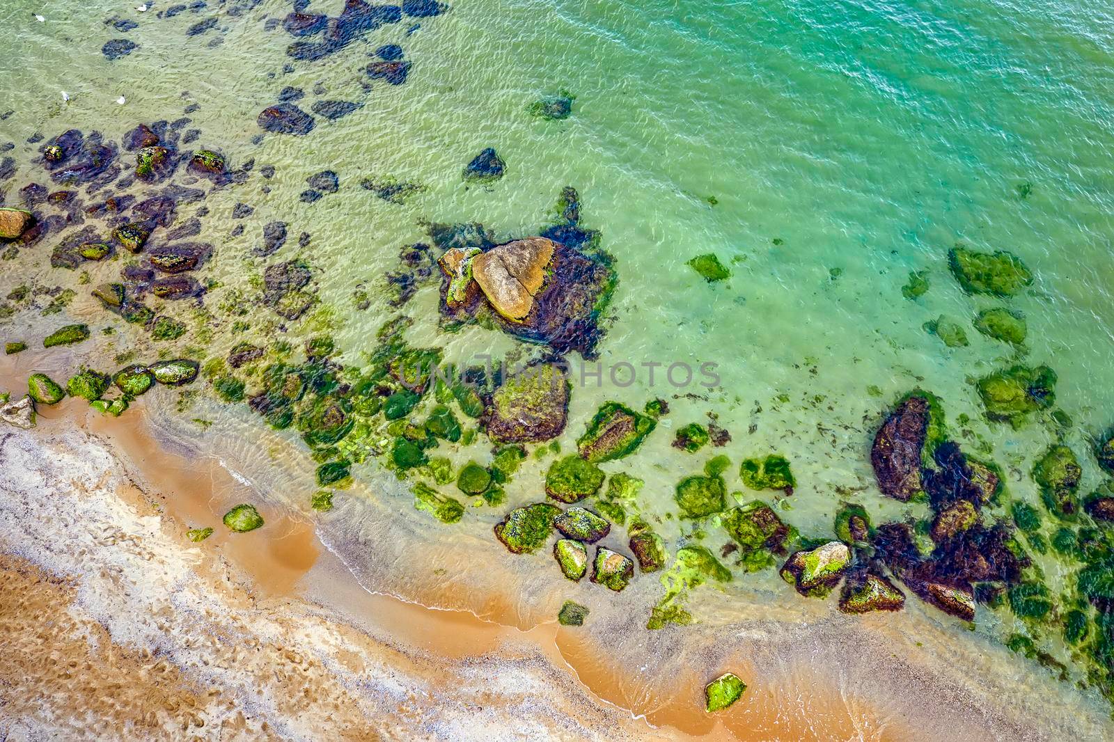 Aerial top view from drone of coastline surface with crystal clear sea water  with rocks and seagulls