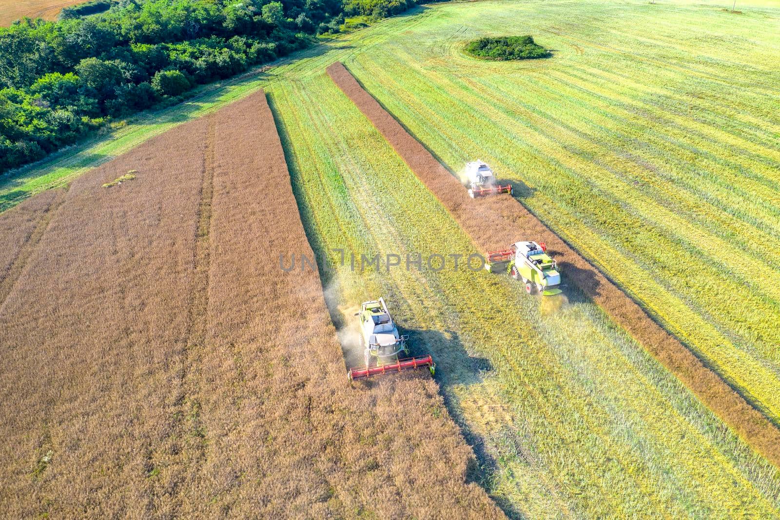 Harvesting time. Agriculture. Agricultural industry. Aerial view of combine harvesters harvest field by EdVal