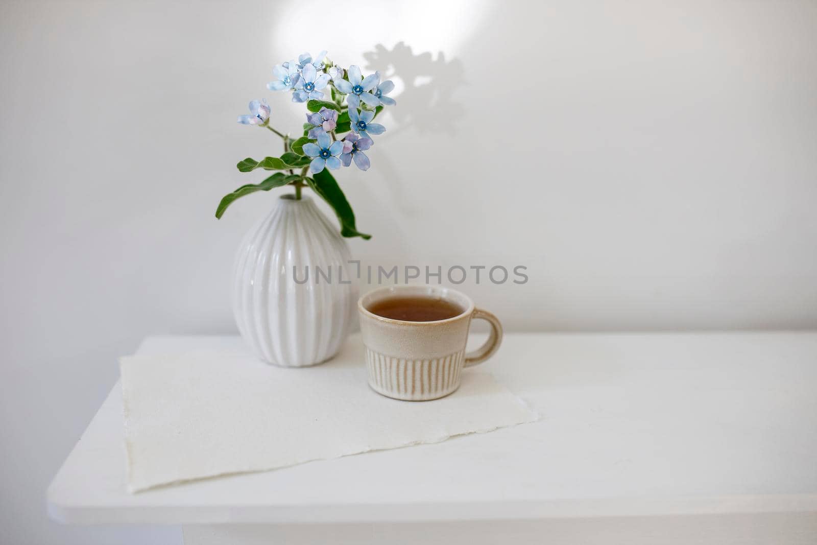 Flower hackelia velutina in a white fluted vase in the style of the seventies and a cup of coffee on the dresser. Scandinavian style by elenarostunova