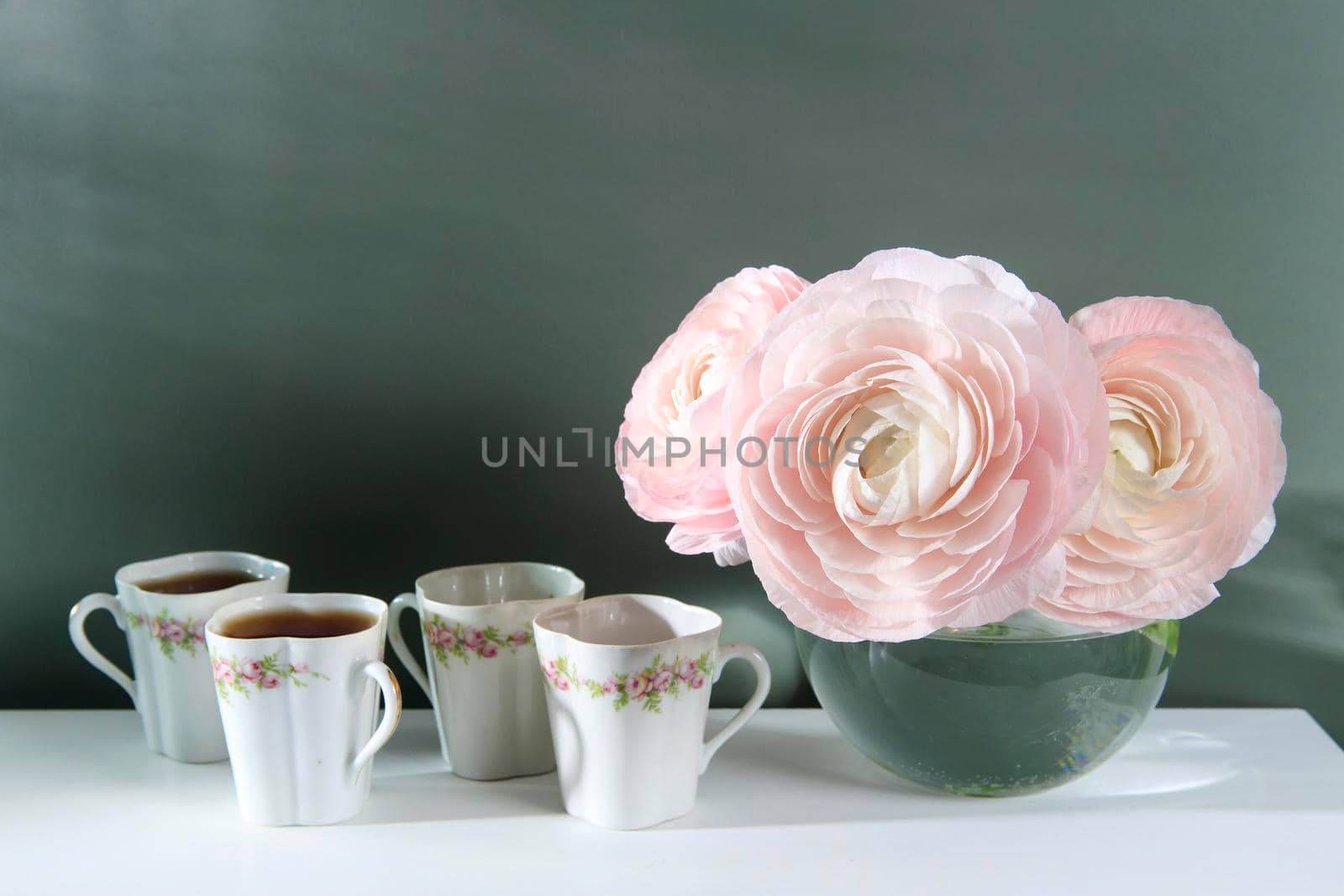 Three pale pink ranunculus in a transparent round vase on the white windowsill. Copy space. Place for text