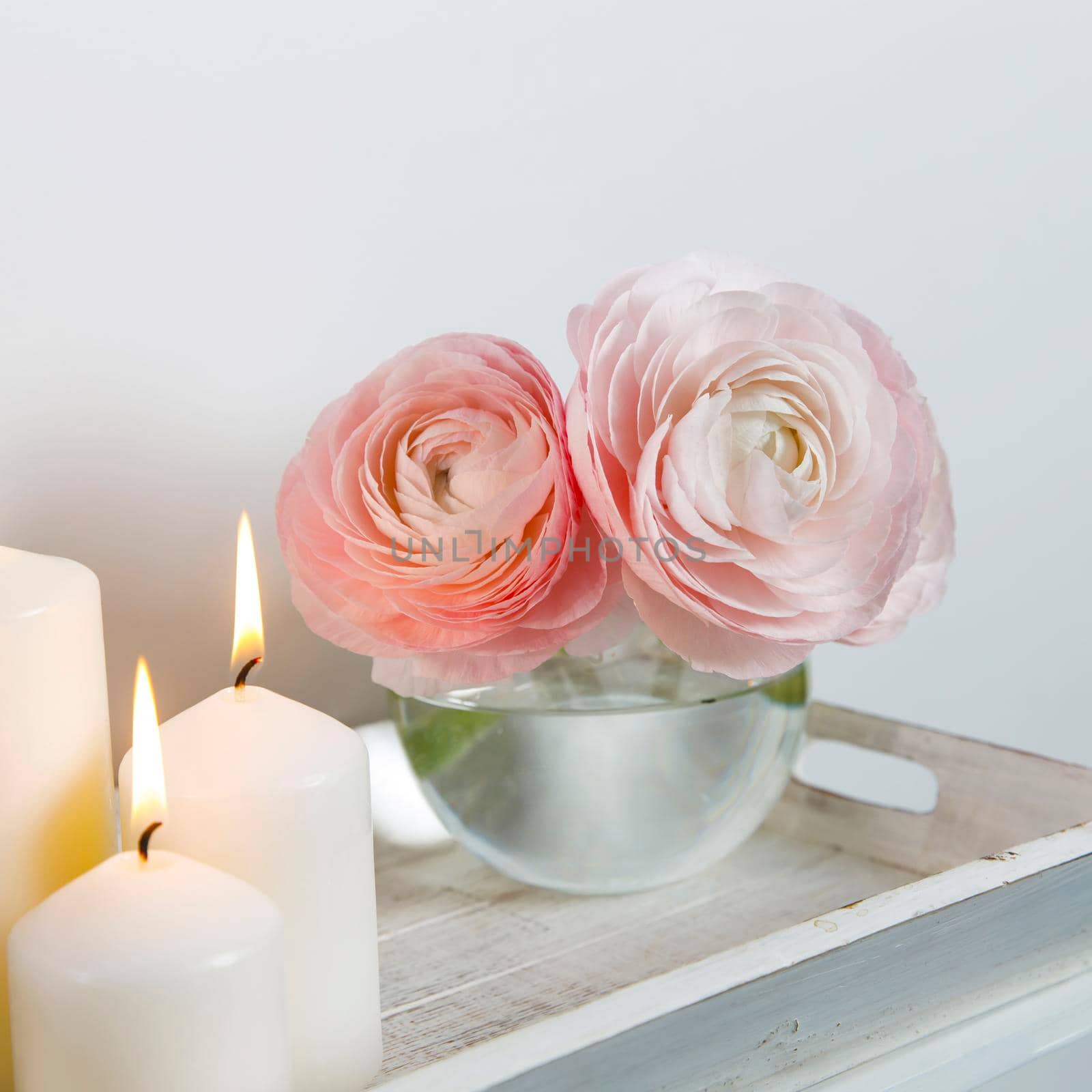 Three pale pink ranunculus in a transparent round vase and candles on the white windowsill. Copy space. Place for text