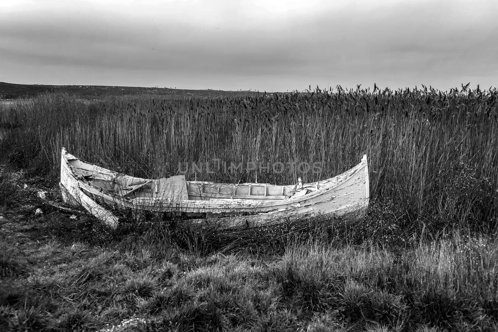 An abandoned old wooden fishing boat on the beach. Black and white by EdVal