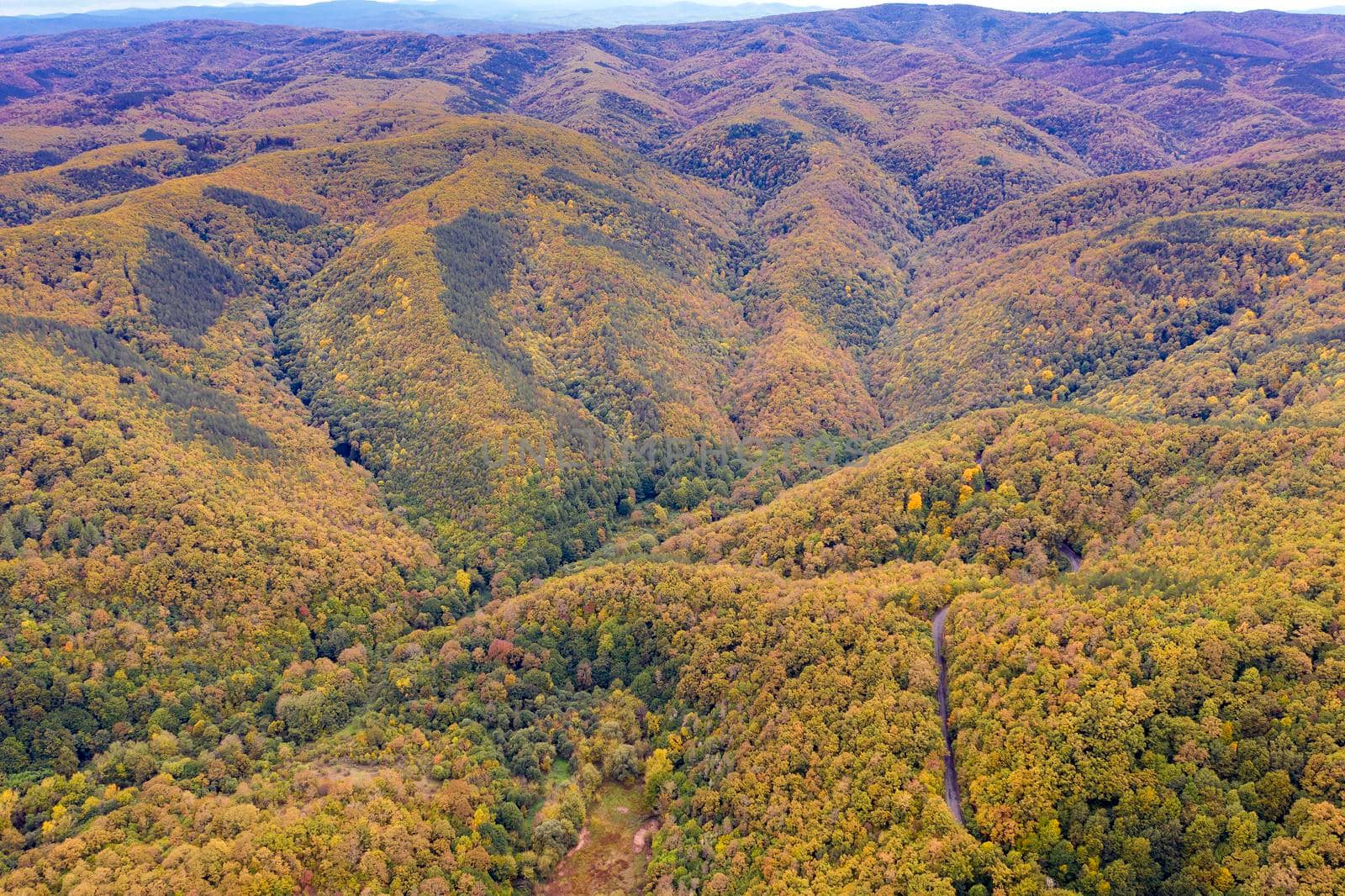 Drone Aerial View view of mountain hills. Hilltops covered with autumn forest.