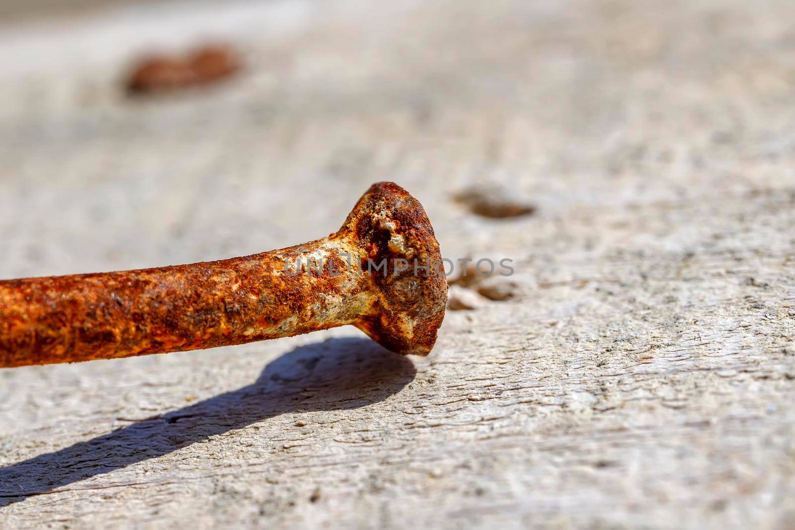 Close up shot of rusty nail on wood board 