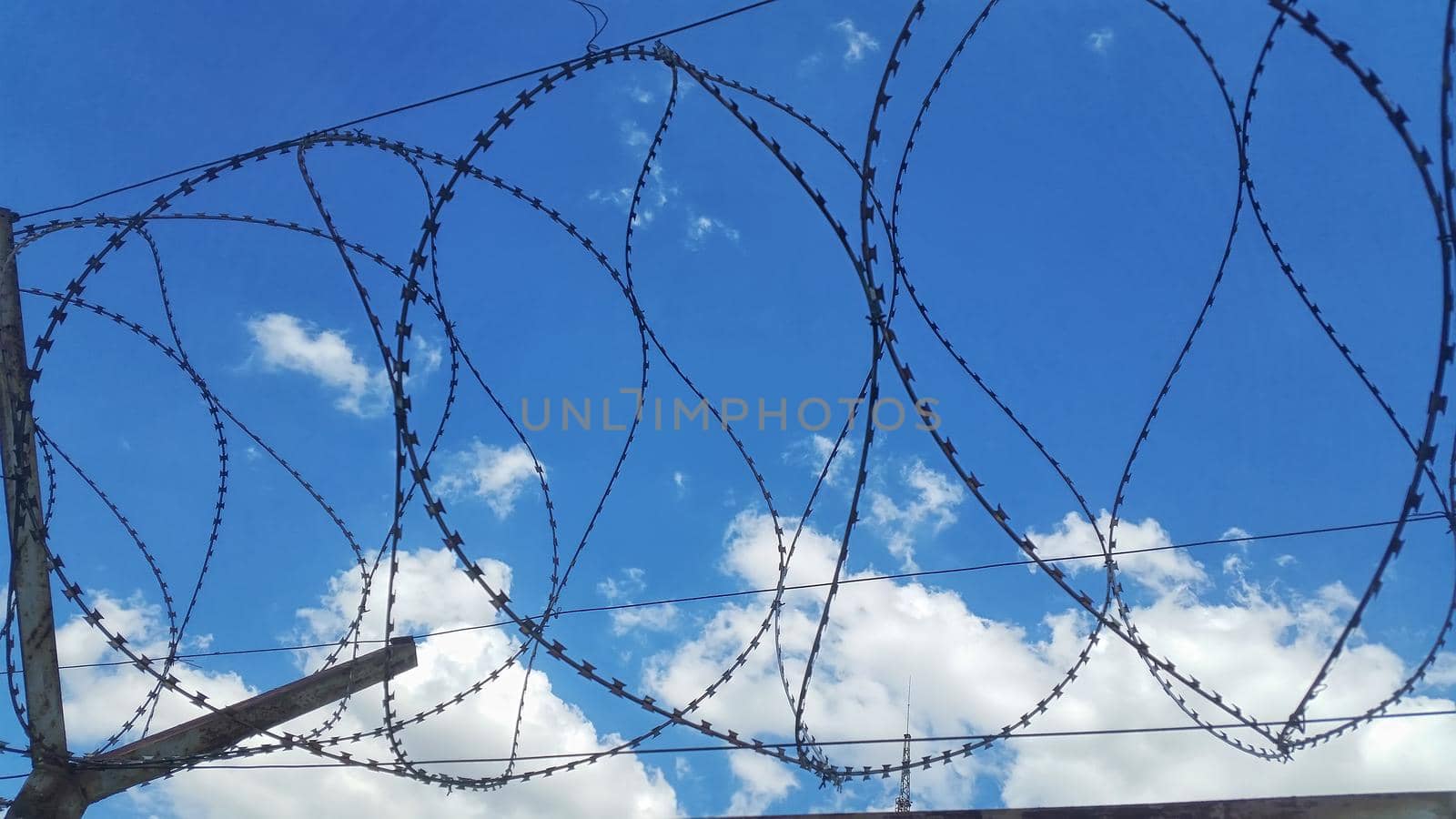  Day view of barbed wire fence. Close