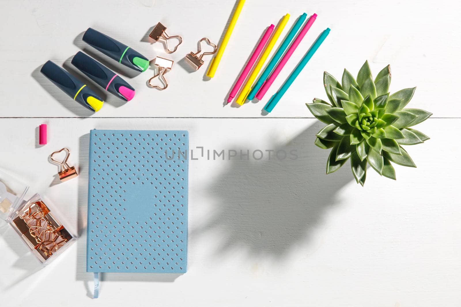 Layout for the office. Back to school. Blue notebook, colorful pens, felt-tip pens, paper clips, potted echeveria. Place for text by elenarostunova