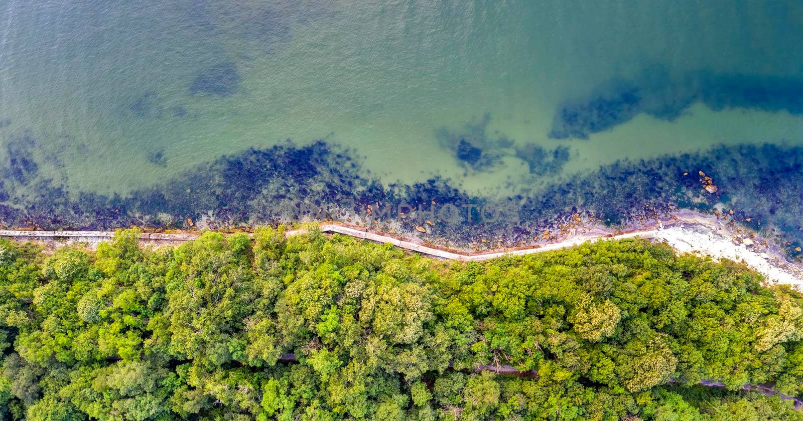 Aerial top view from drone to the coastline covered with green forest near the sea. by EdVal