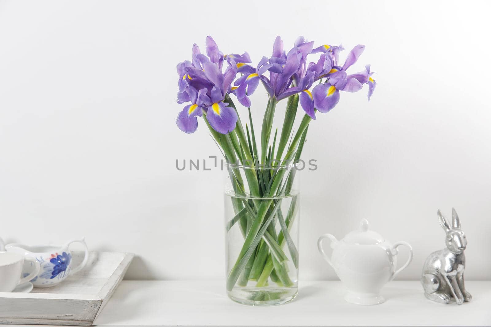 Violet Irises xiphium (Bulbous iris, sibirica) on white background with space for text. Top view, flat lay. Holiday greeting card for Valentine's Day, Woman's Day, Mother's Day, Easter!